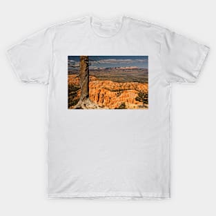 Trees Of Bryce - 2 © T-Shirt